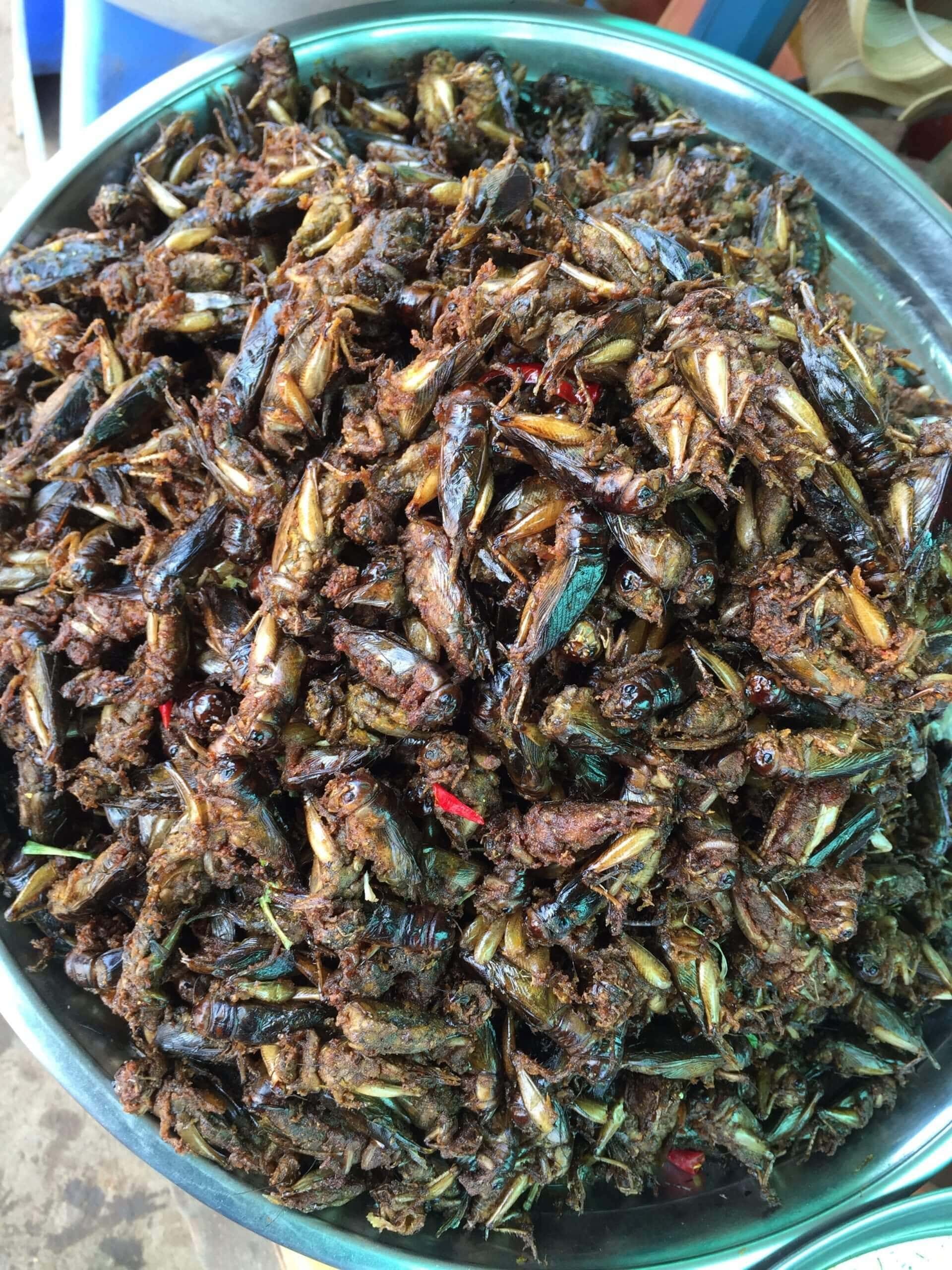 Insect food in Cambodia