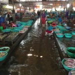 cangio-seafood-market-thebroadlife_mini