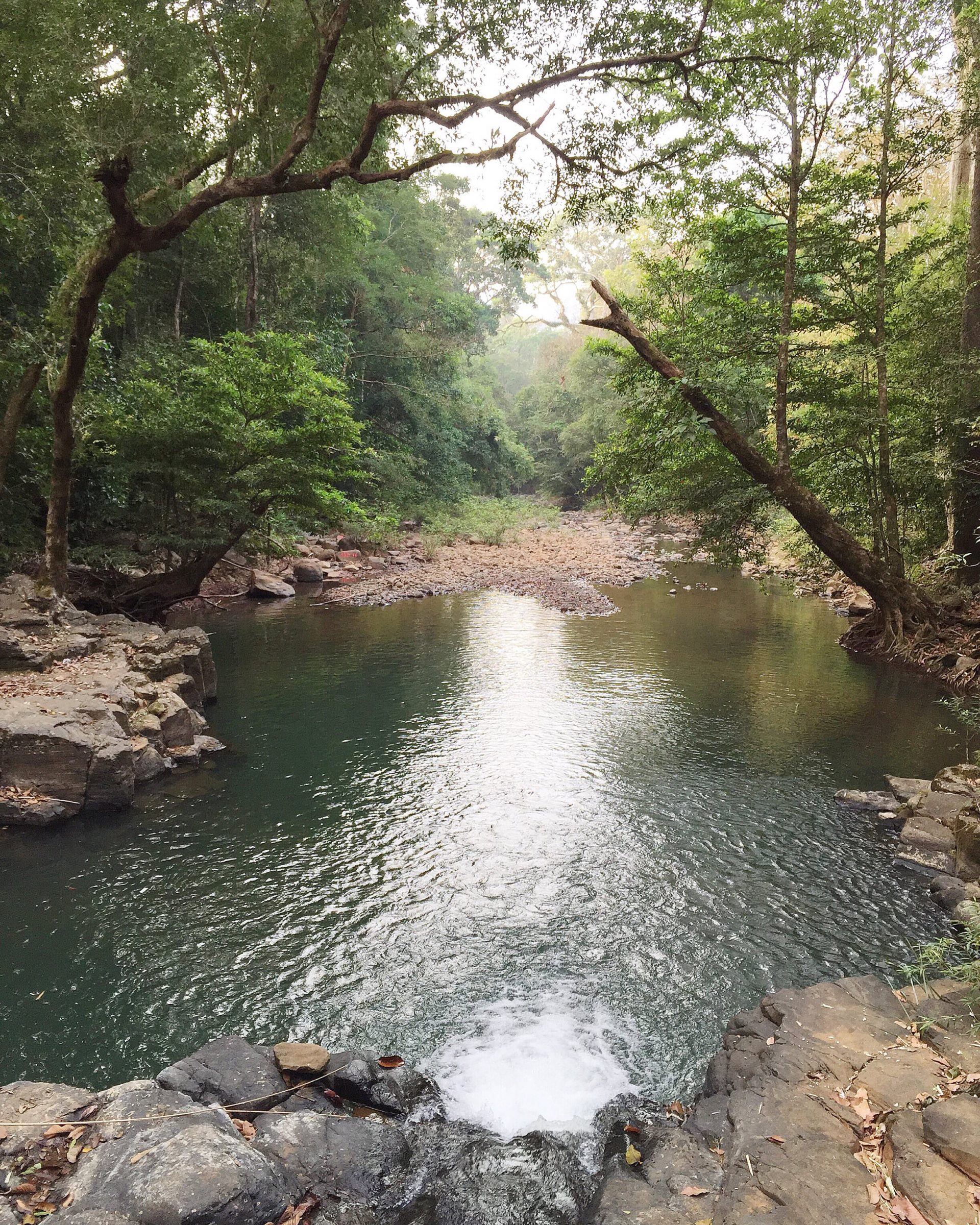 A stream inside Bu Gia Map National Park