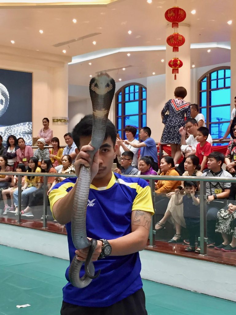 Performer with his snake at the show.
