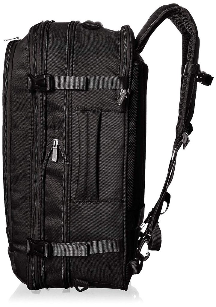 AmazonBasics Travel Backpack