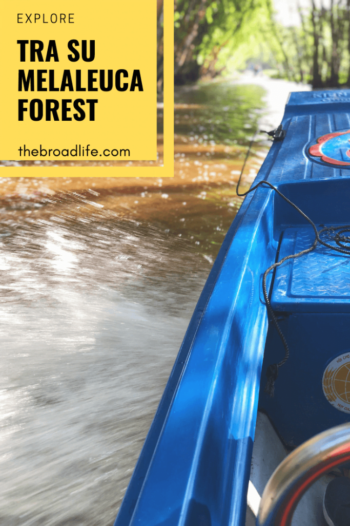 Pinterest Board of Explore Tra Su Melaleuca Forest - The Broad Life