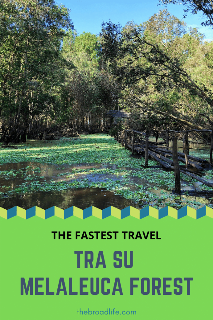 Pinterest Board of The Fastest Trip to Tra Su Melaleuca Forest - The Broad Life