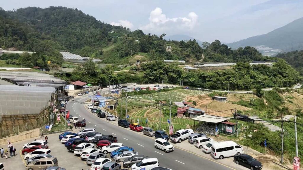 Vegetable farms and road in Cameron Highlands, Malaysia