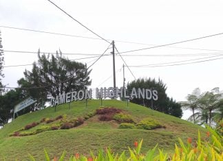 the word Cameron Highlands at Tanah Rata