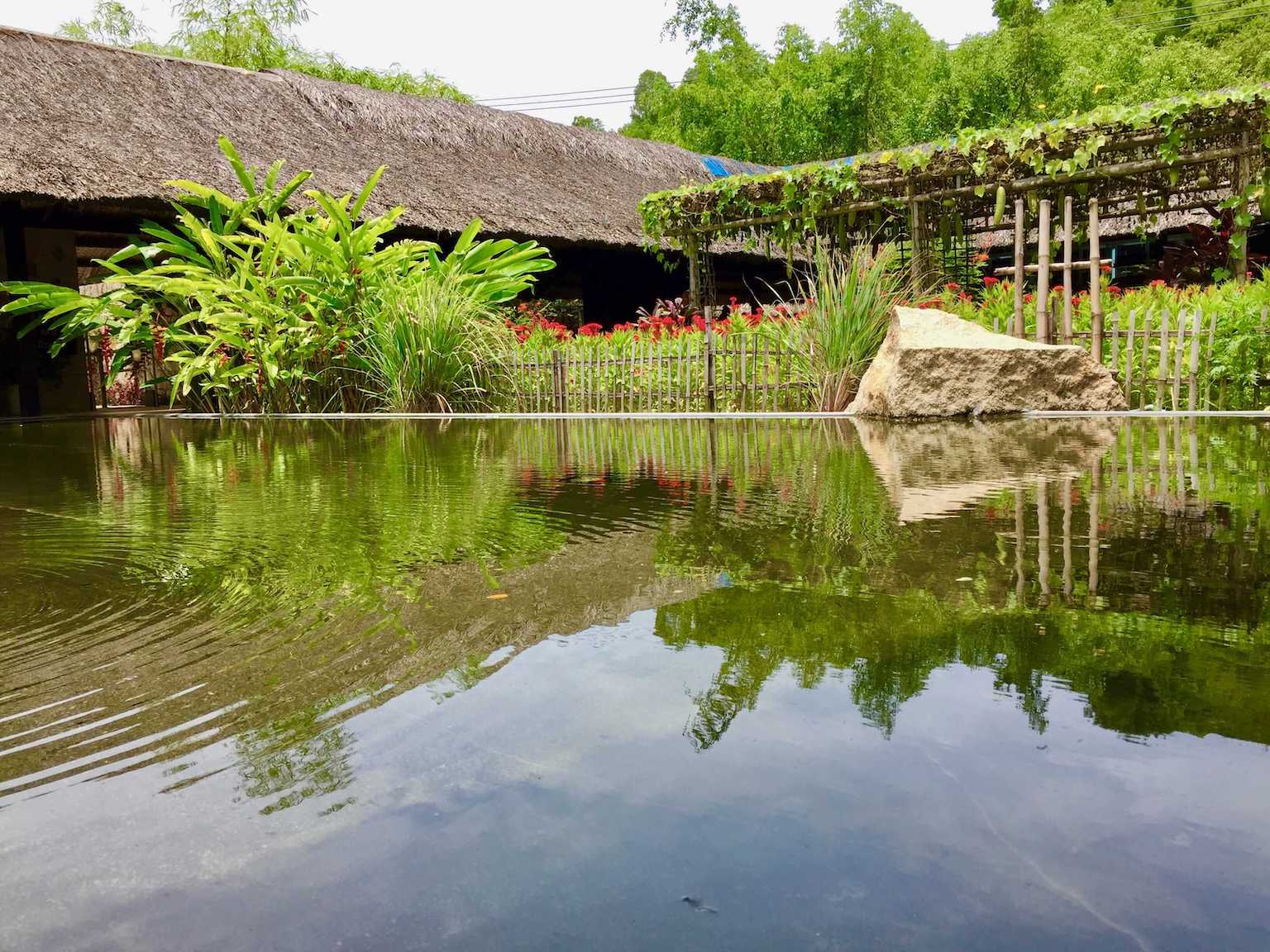a pool in Thap Ba Hot Springs - Nha Trang mud bath & mineral bath