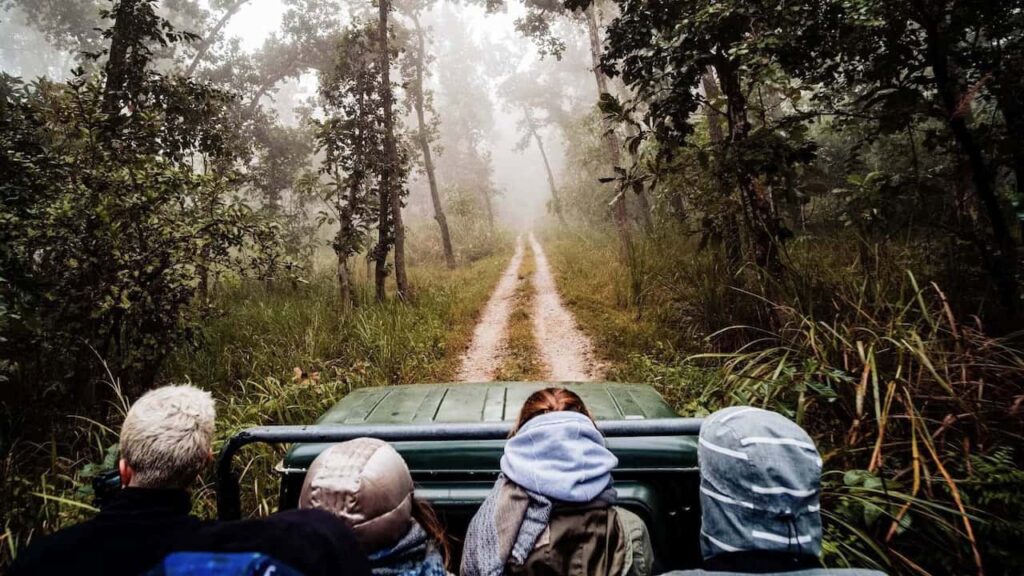 Jungle safari through Chitwan National Park in Nepal