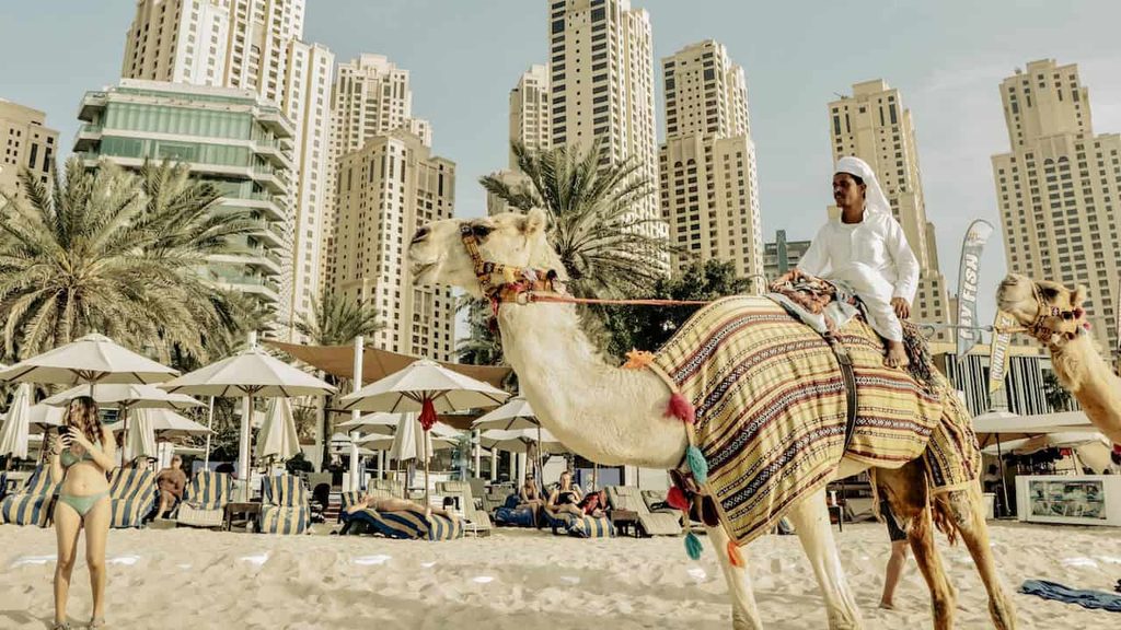 Camel ride on a Dubai beach with skyscrapers and palm trees