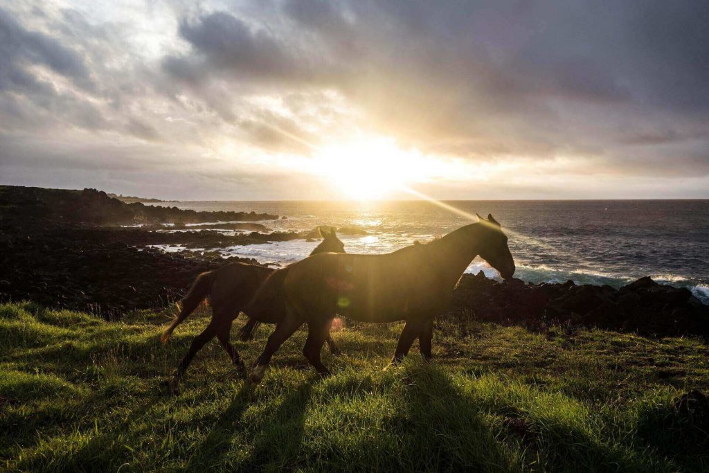 Horses in Easter Island, Chile, one of the adventurous places