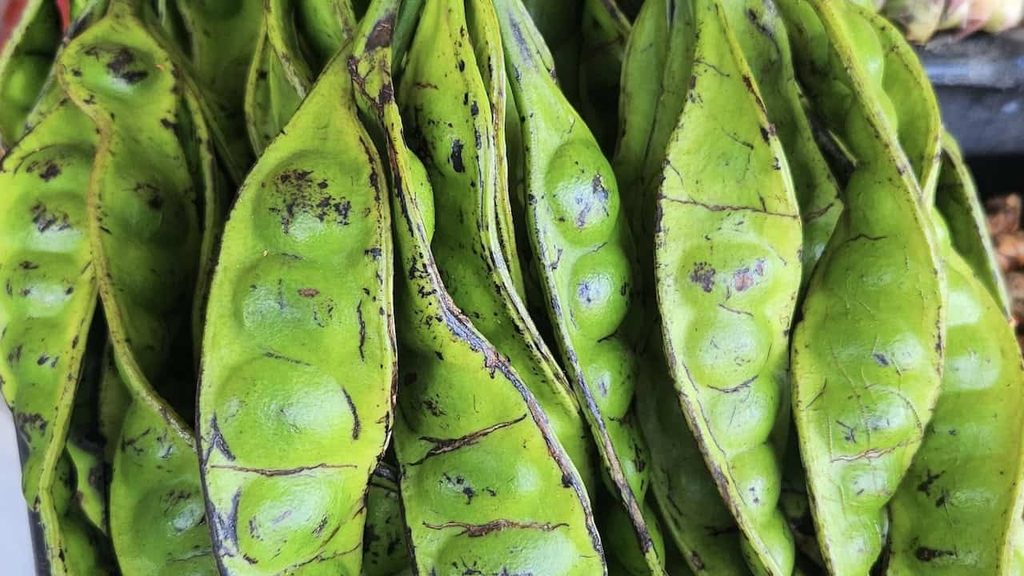 Fresh green petai stink beans, a pungent Southeast Asian food