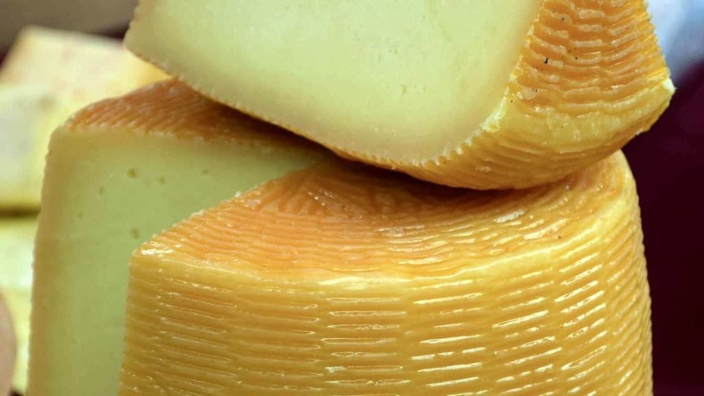 Vieux Boulogne French washed-rind cheese with bread