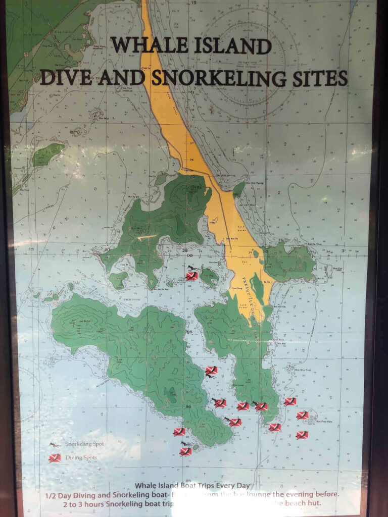 whale island dive and snorkeling sites