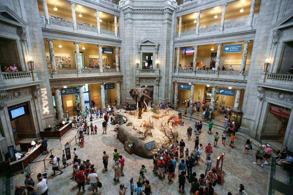 Smithsonian National Museum of Natural History offer many virtual museum tours free