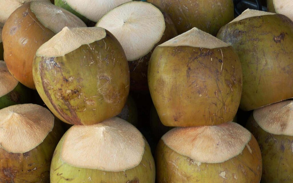 fresh coconut for drinking