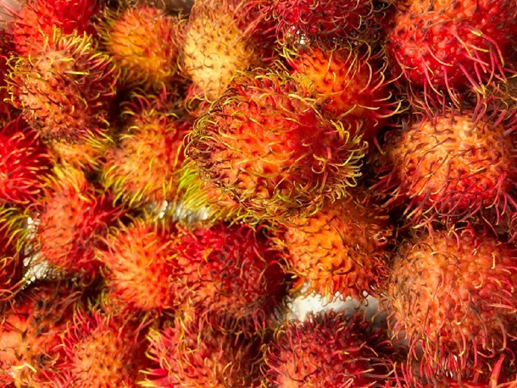 exotic vietnam fruits rambutan