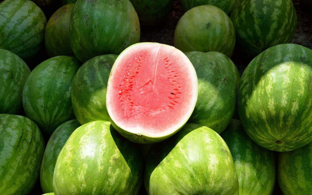 best watermelon in Vietnam fruit
