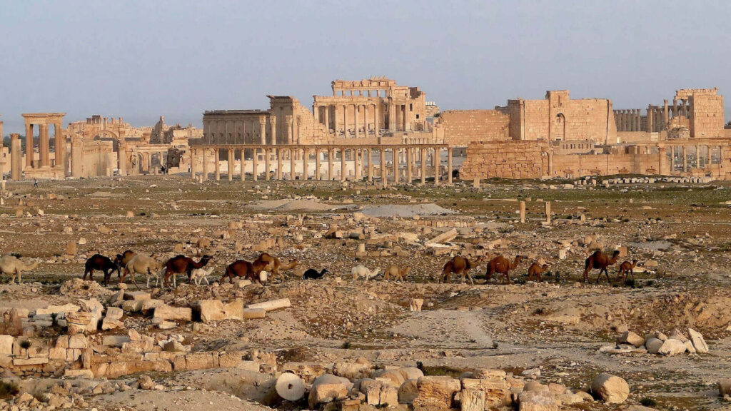 Palmyra abandoned city, bride of the desert