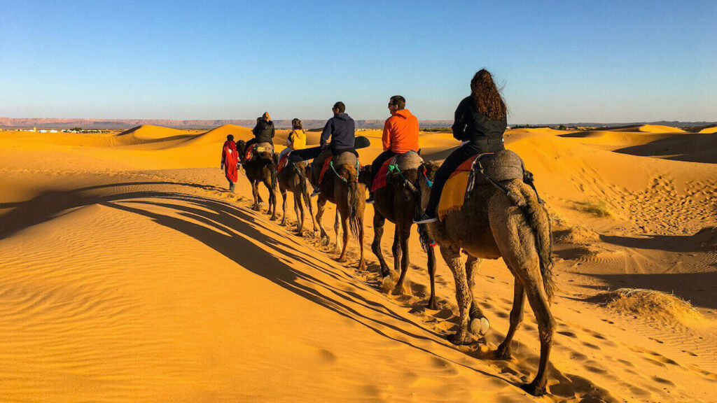 people are riding camels through Erg Chebbi sand dunes of Morocco's Sahara