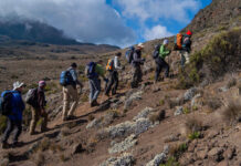 trekking Kilimanjaro mountains in Africa