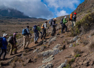 trekking Kilimanjaro mountains in Africa