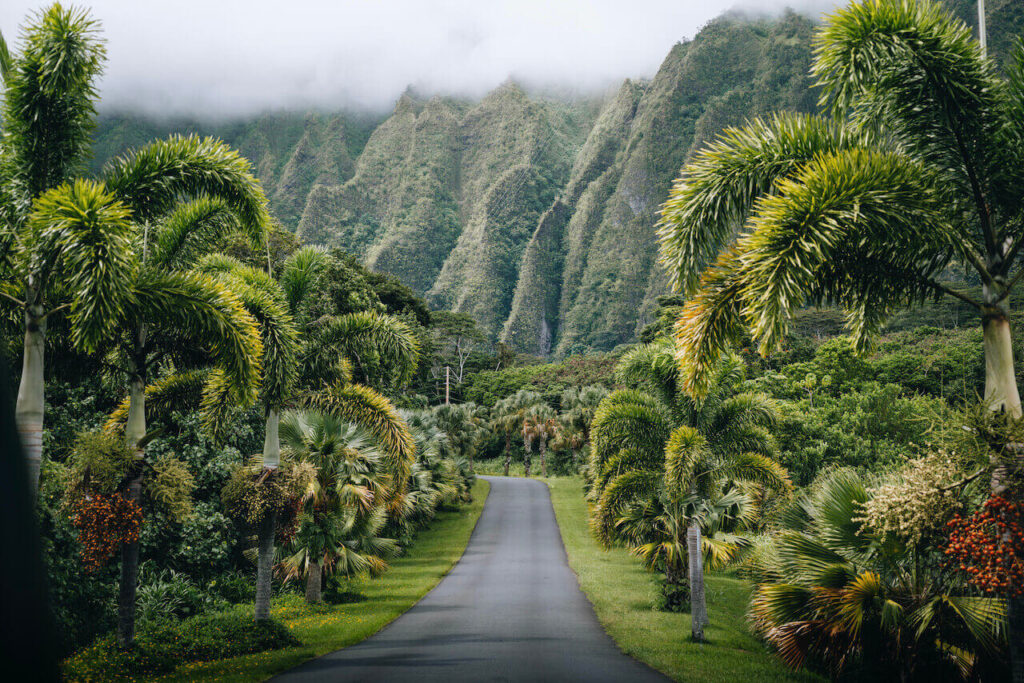nature of Hawaii, one of the remote destinations in the us