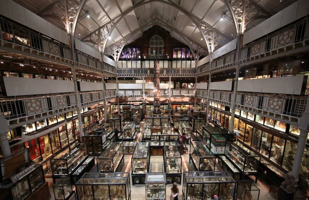 Pitt Rivers Museum exhibitions with many collections