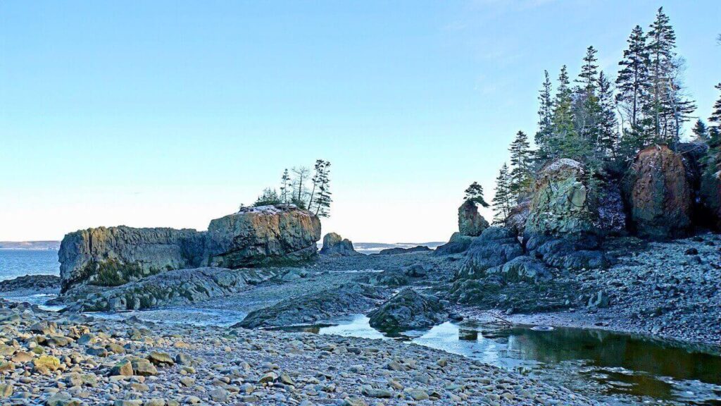 The Bay of Fundy when the tide is low