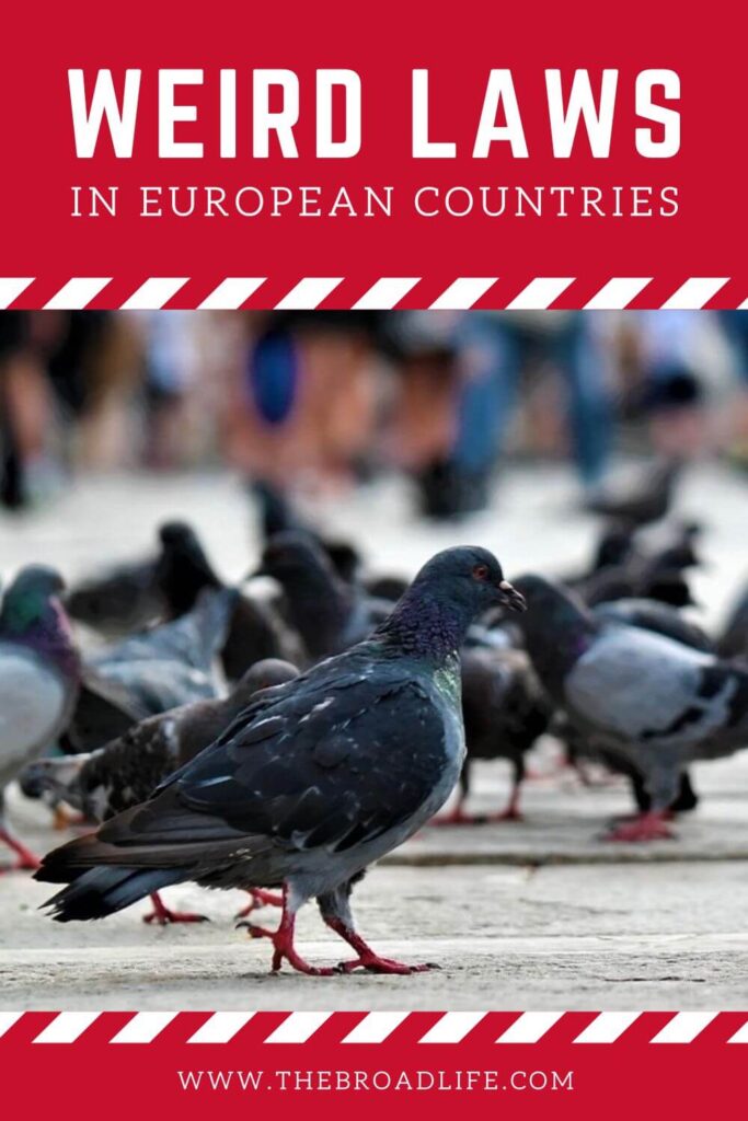 weird laws in european countries - the broad life pinterest board
