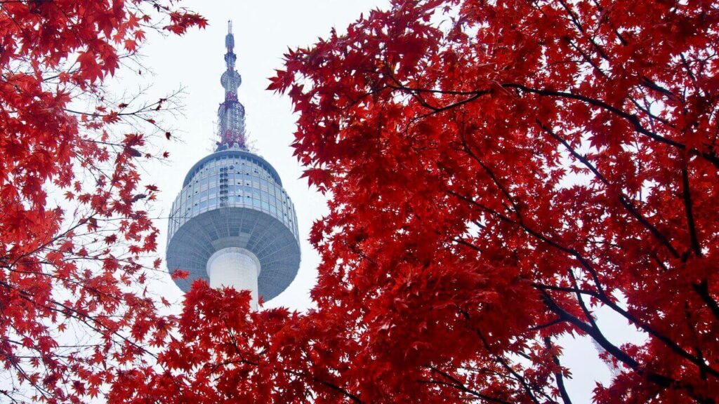 n seoul tower autumn korea