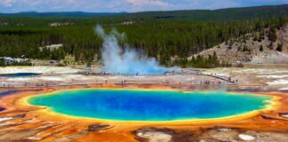 Grand Prismatic Spring in yellowstone national park wyoming usa