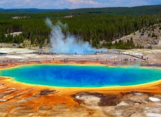 Grand Prismatic Spring in yellowstone national park wyoming usa