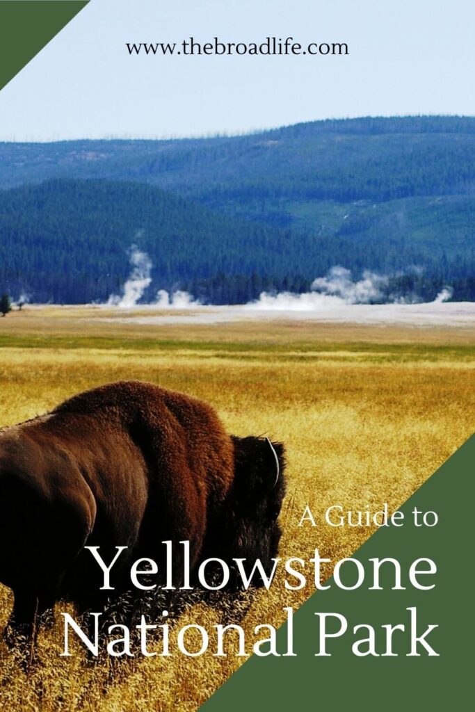 a guide to yellowstone national park - the broad life pinterest board