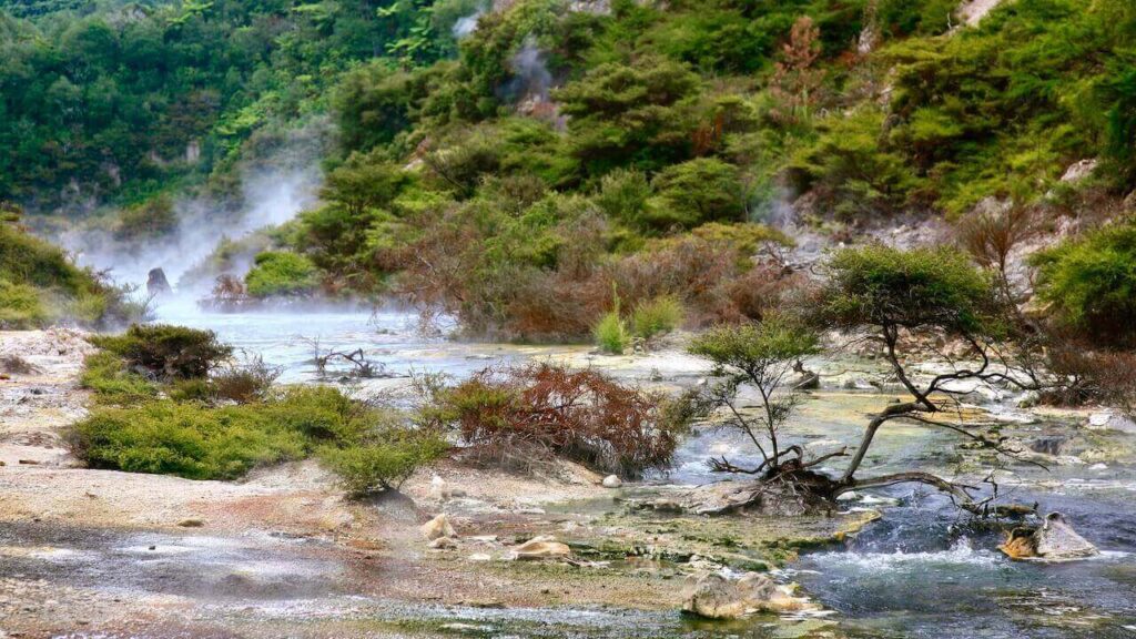 waimangu volcanic valley tour