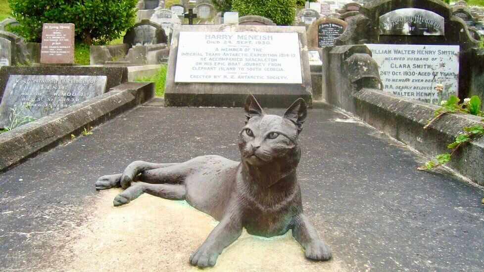 mrs chippy cat statue