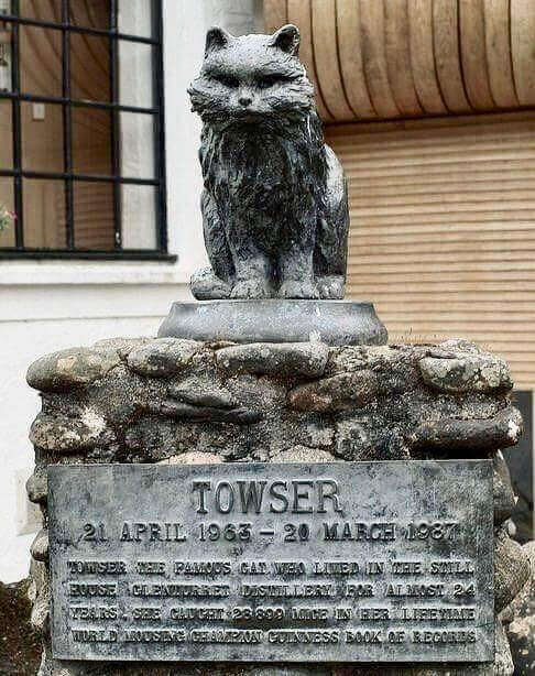 Towser cat statue at Glenturret Distillery