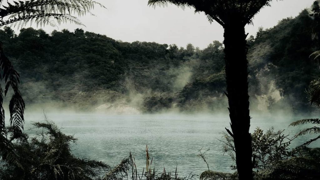 Frying Pan Lake steaming in Waimangu Volcanic Valley, New Zealand