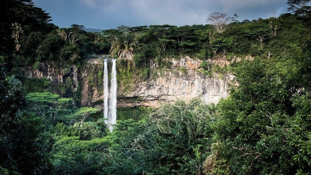 rainforest and the Chamarel Waterfall