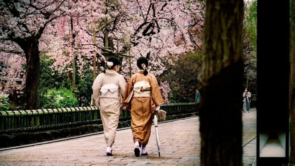Japanese girls are doing hanami in the spring