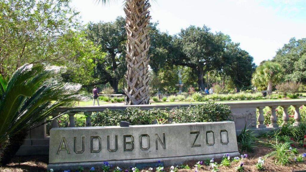 Audubon Zoo in Audubon Nature Institute