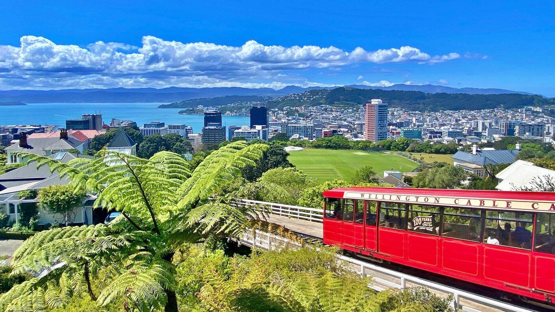 Things to Do in Wellington: 25 Amazing Activities for an Unforgettable Trip