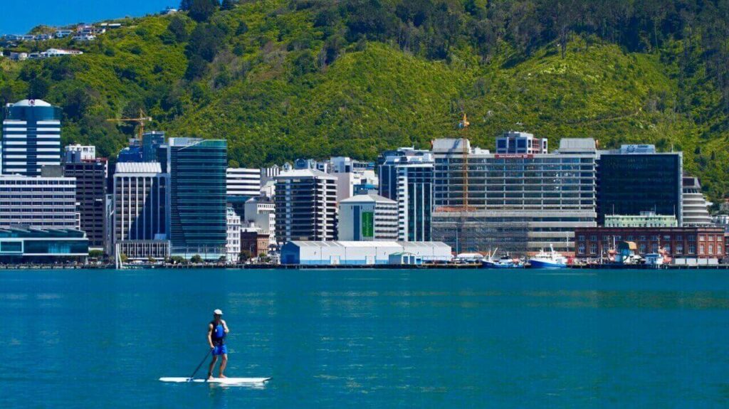 A stand-up paddle boarder at Wellington Habour