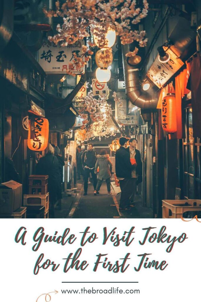 a guide for first time visit tokyo - the broad life pinterest board
