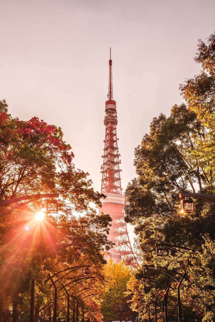one of red tokyo tower photos with leaves are changing color in autumn