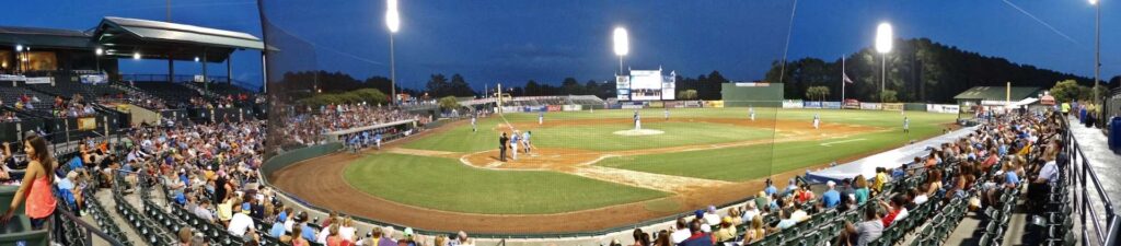 The Myrtle Beach Pelicans are playing
