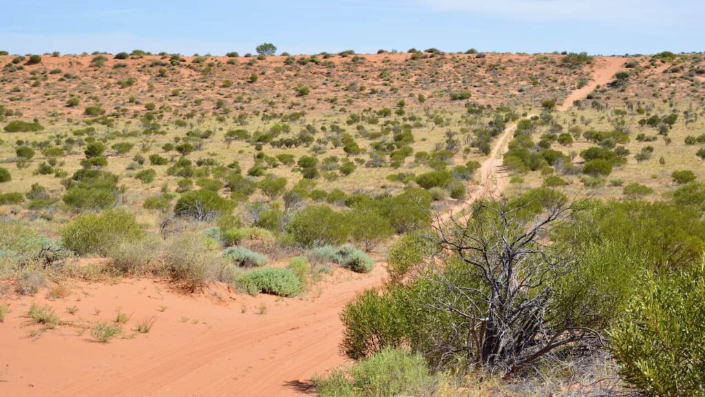 Munga-Thirri-Simpson Desert National Park is one of the largest national parks in the world
