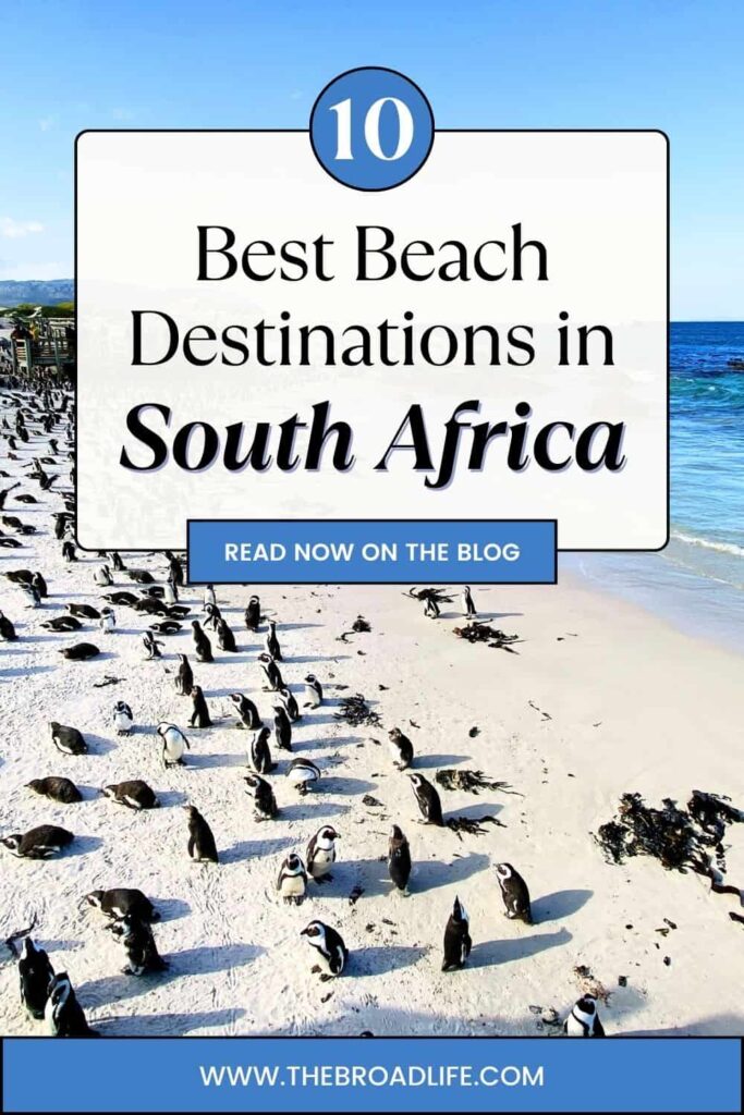 10 best beach destinations in south africa - the broad life pinterest board
