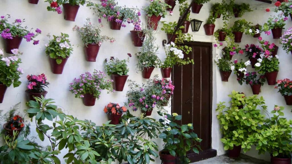 beautiful flower pots are displayed on a house courtyard in Fiesta de los Patios in Córdoba Spain