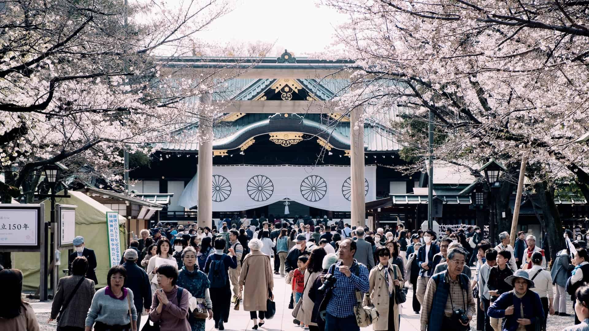 people visit a temple in tokyo japan when cherry blossom