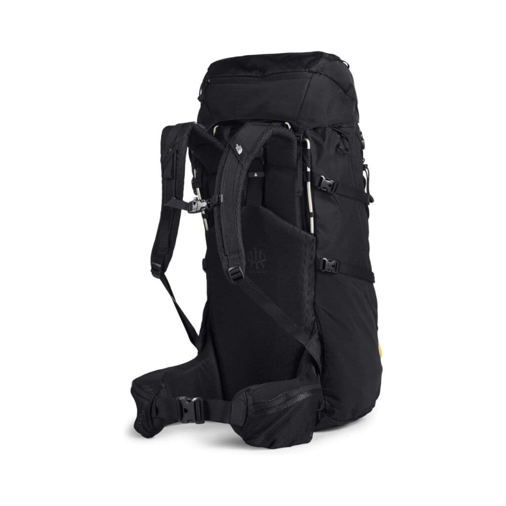 THE NORTH FACE Terra 65L Backpacking Backpack back