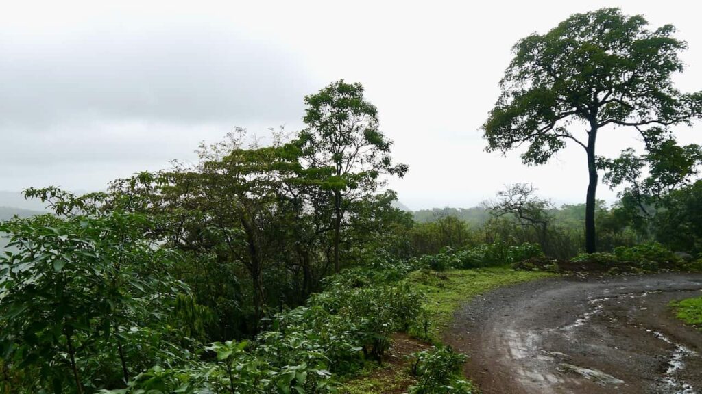 Tungareshwar Wildlife Sanctuary trekking trail